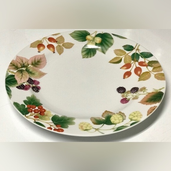 Rare Vintage Apollo Porcelain ENGLISH COUNTRY FRUIT Nancy Calhoun Dinner Plate - Picture 7 of 10
